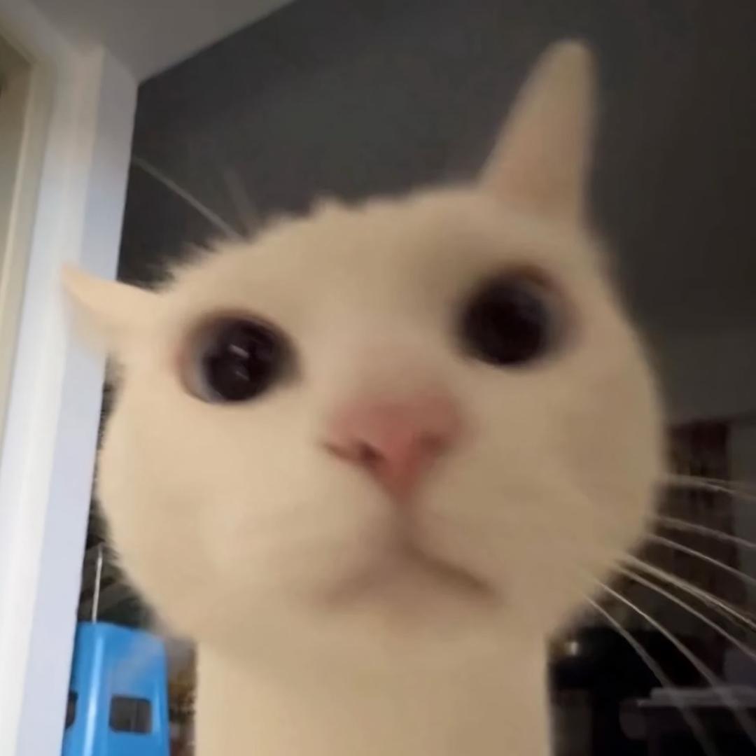 痴