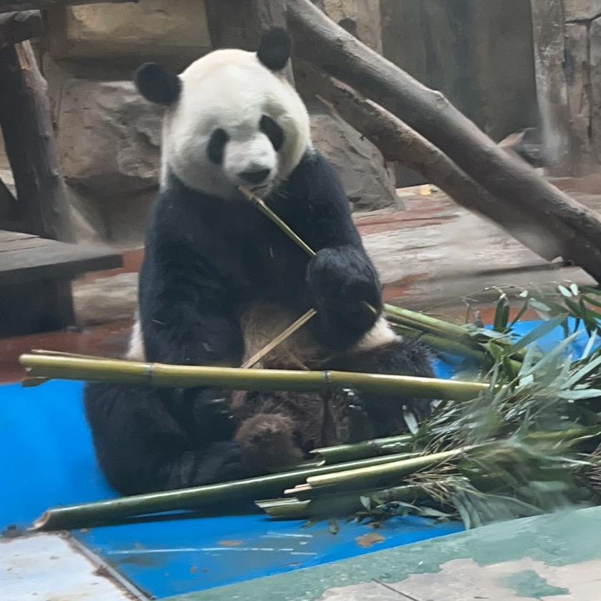 瑶瑶丫头爱美