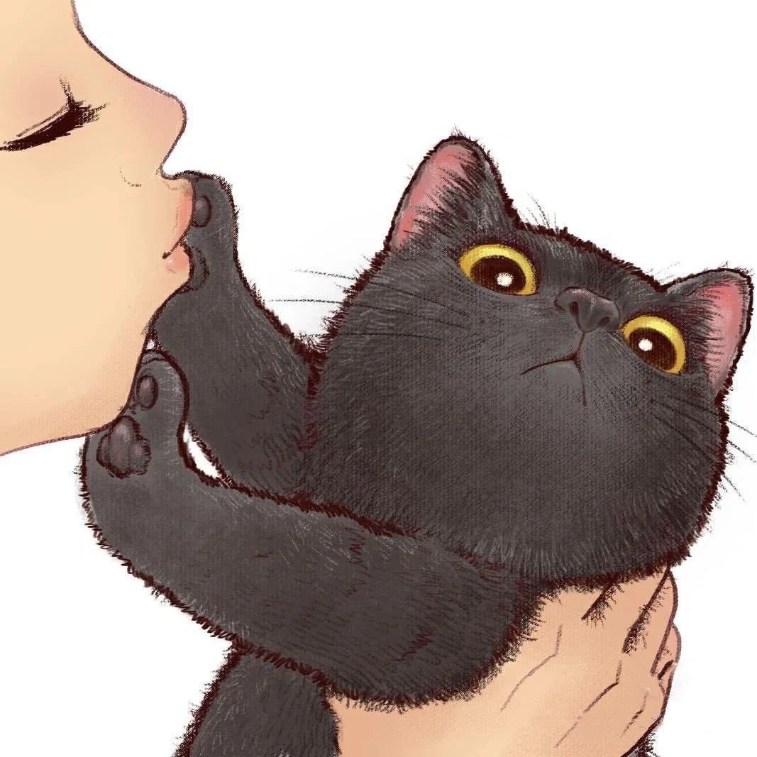 当鱼爱上  猫