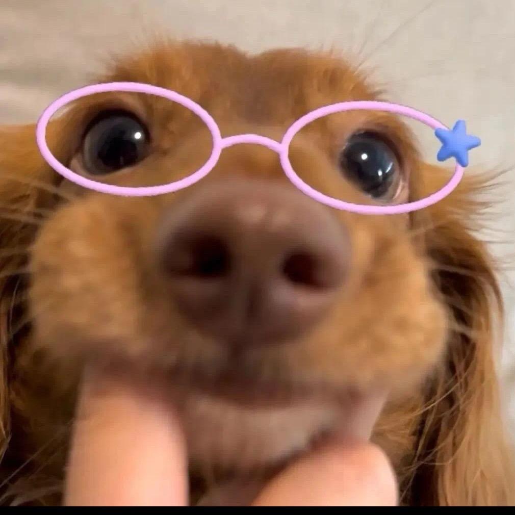 不上北电不改名