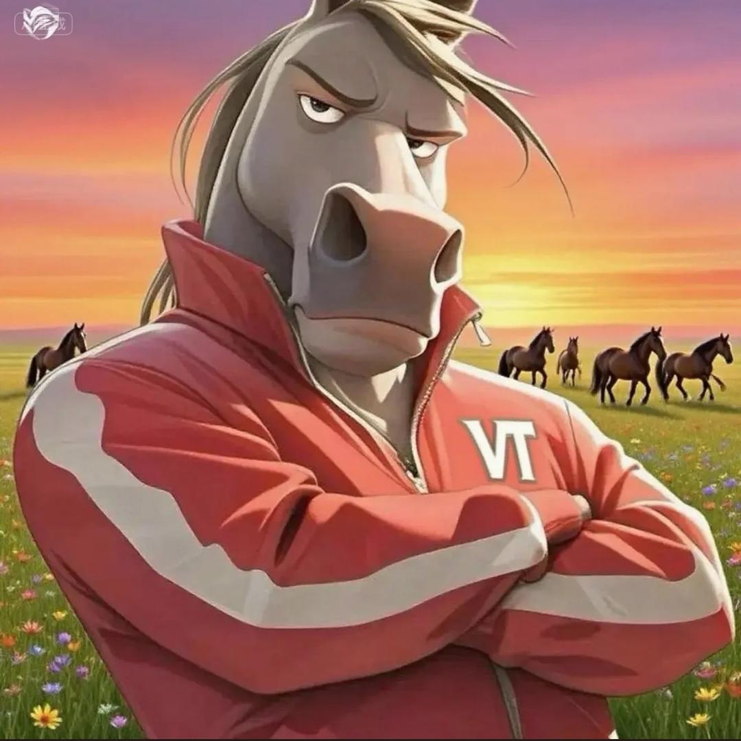 vT 解压