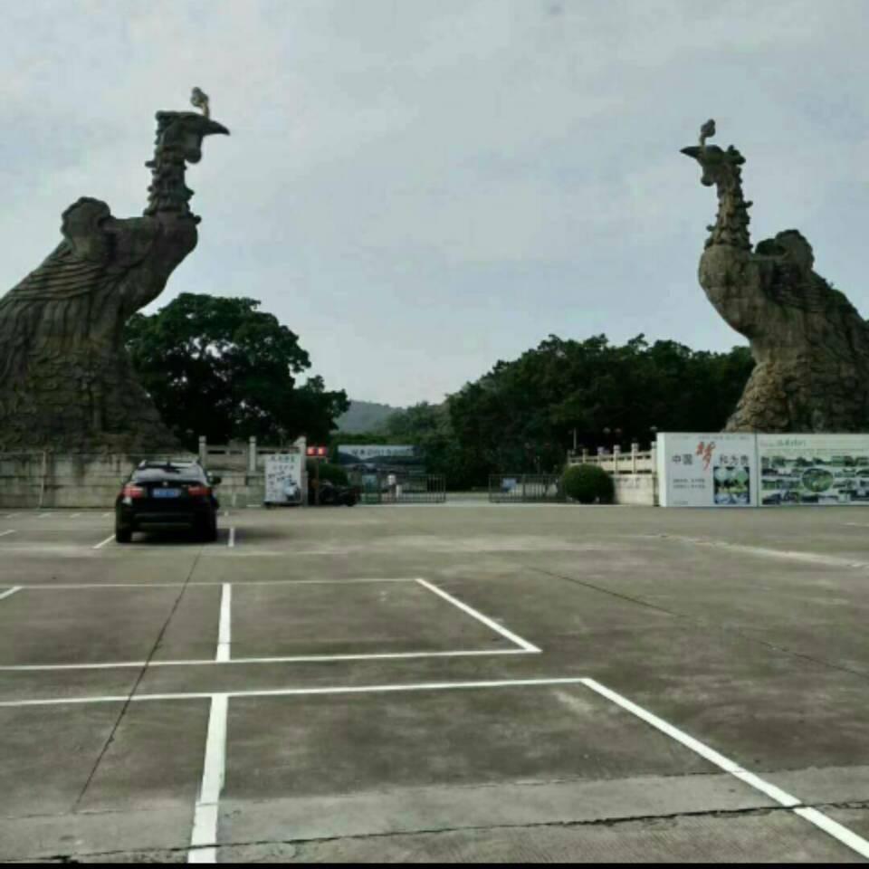 壹切随缘