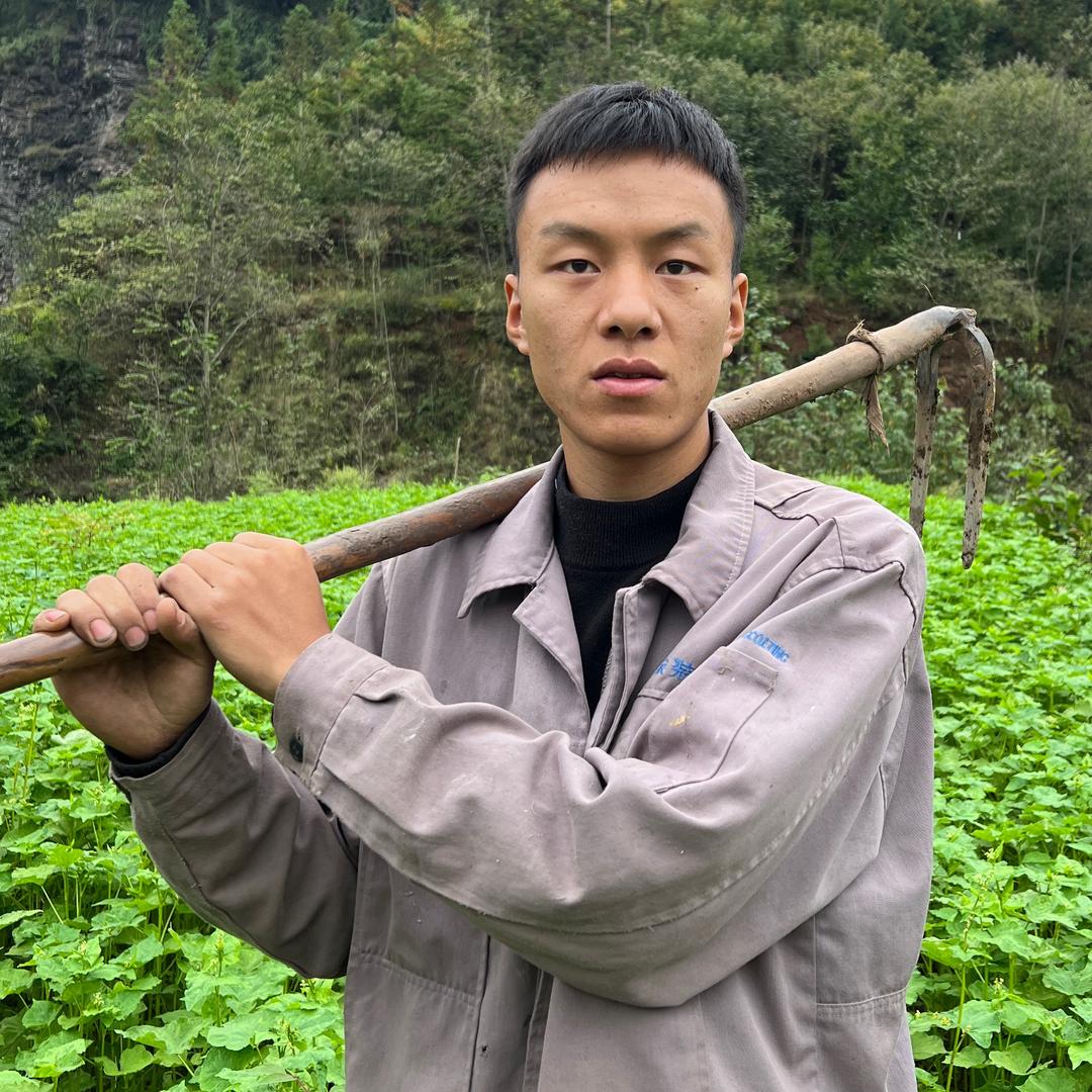 齐民要术