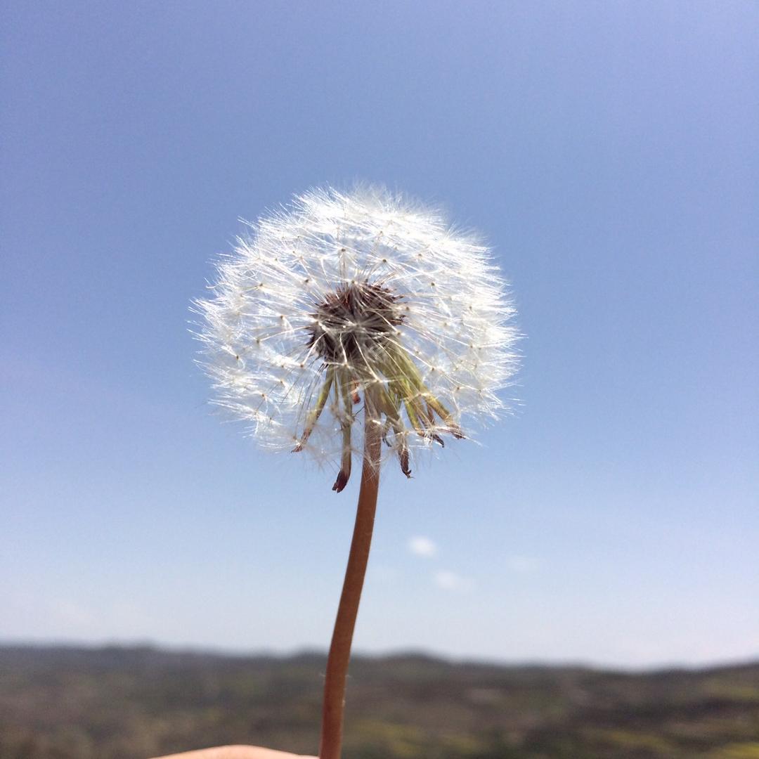 張先森