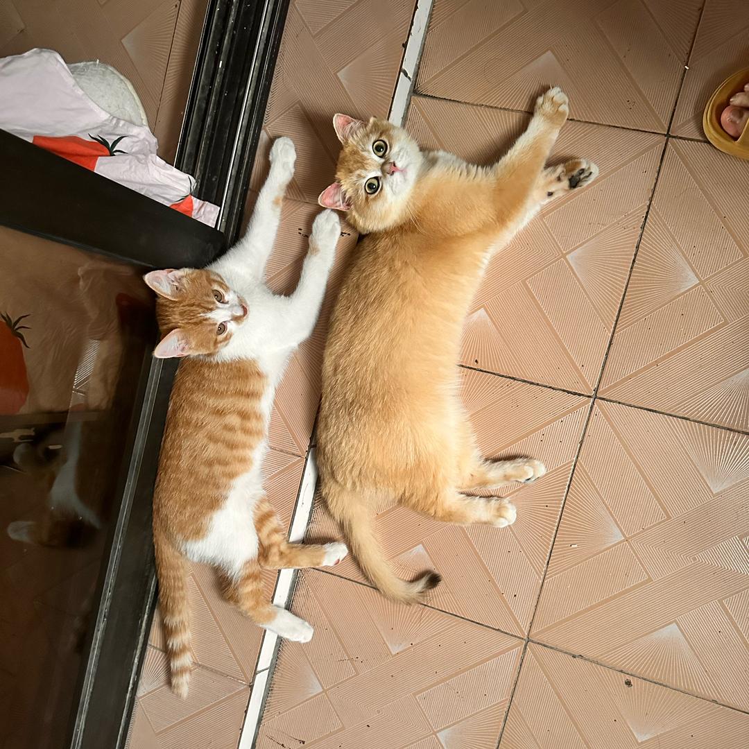 🌈🌹今天真幸运👼