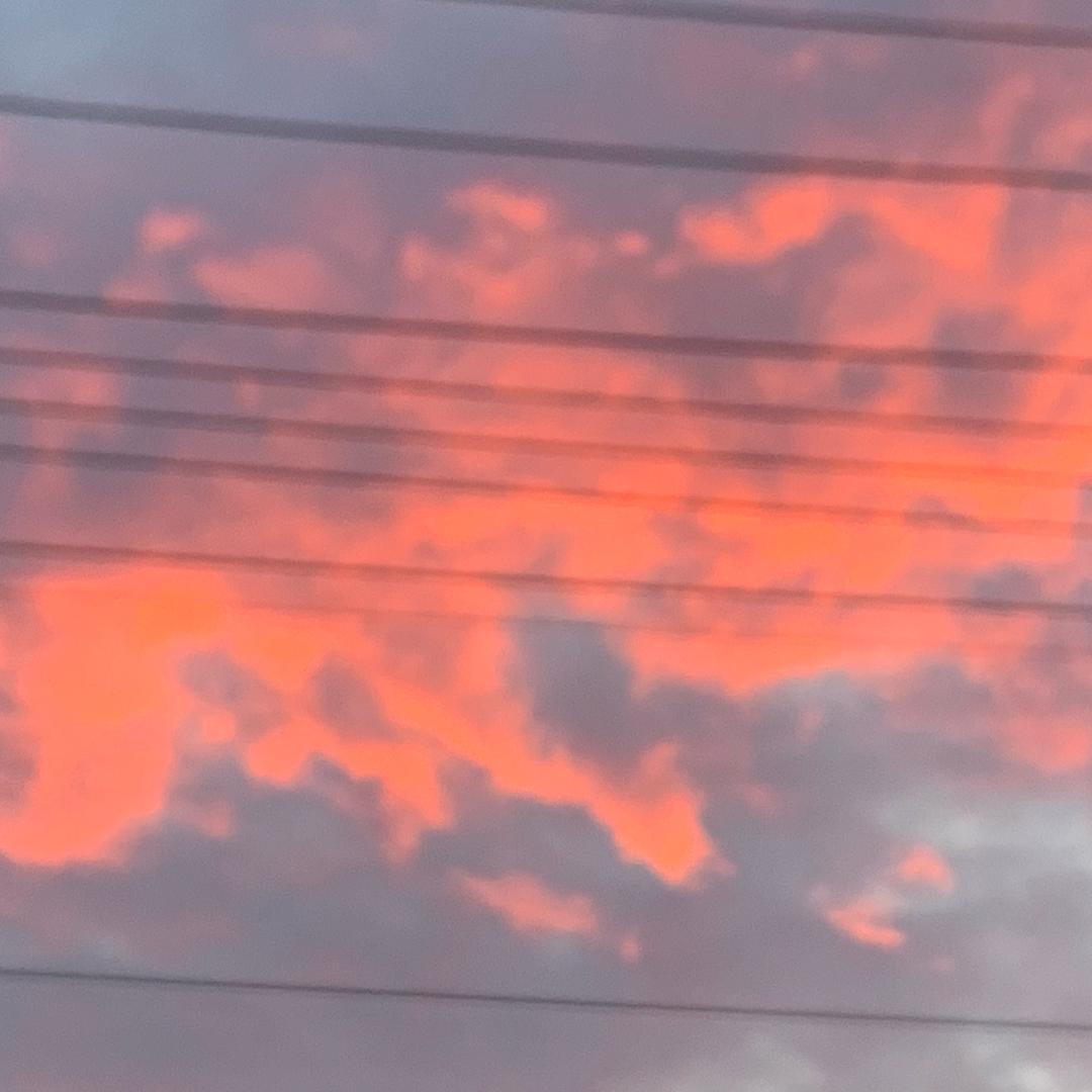 可爱😍小猫🐱