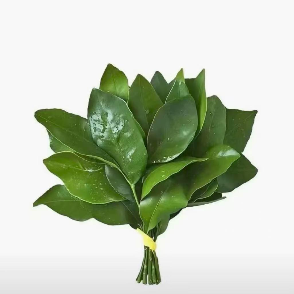 (⸝⸝•‧̫•⸝⸝)“破碎”