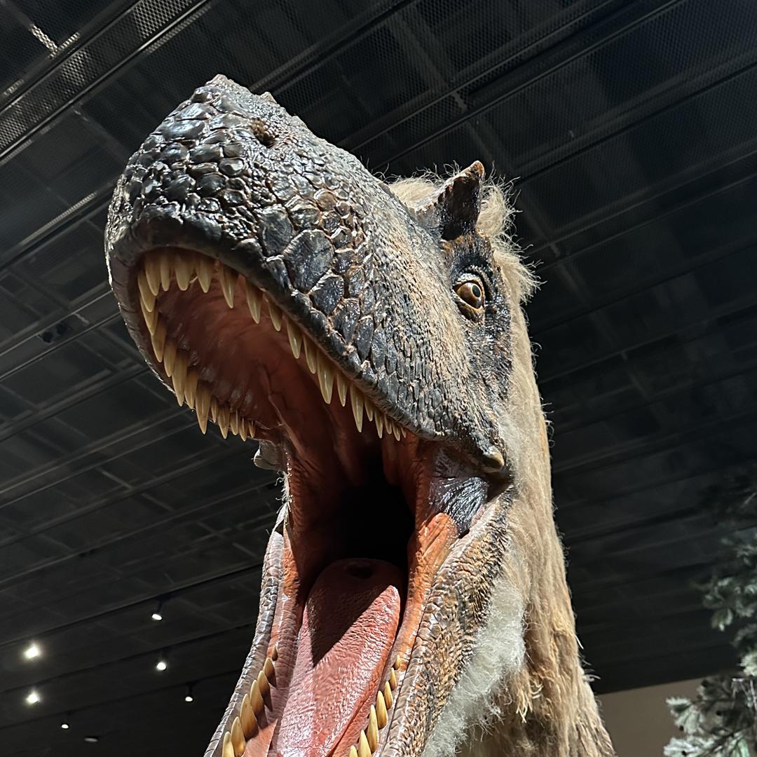 郑州六轮子货车租赁