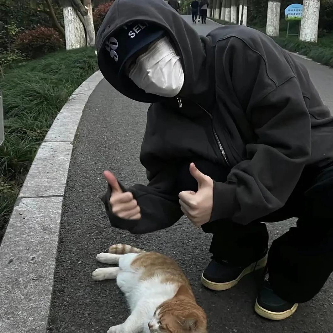 王者荣耀读情