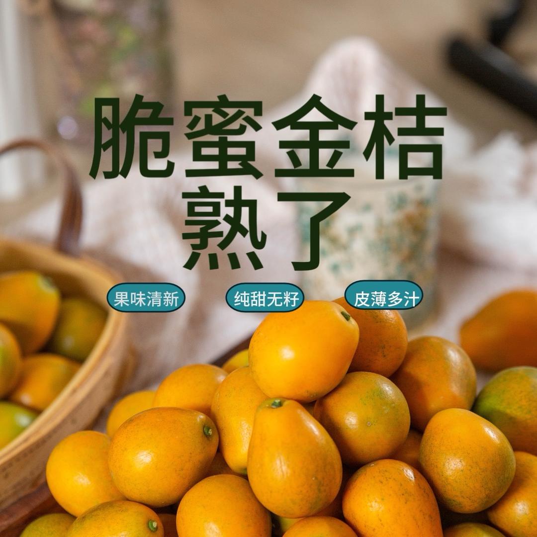 脆蜜金桔专场【广西】