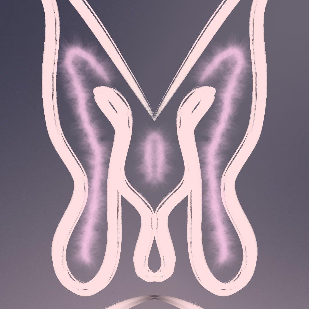 胆