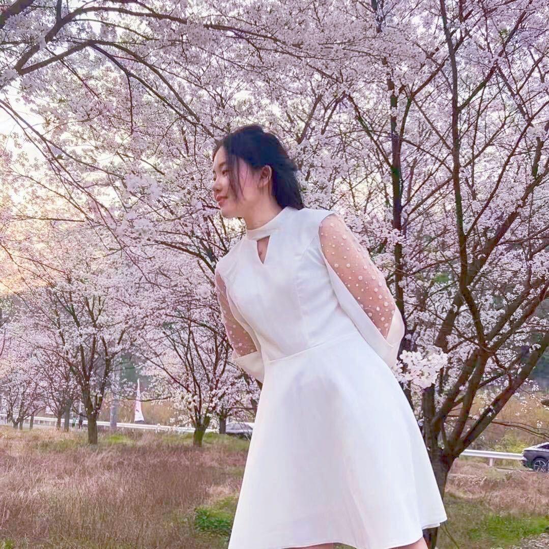 星星彤⭐