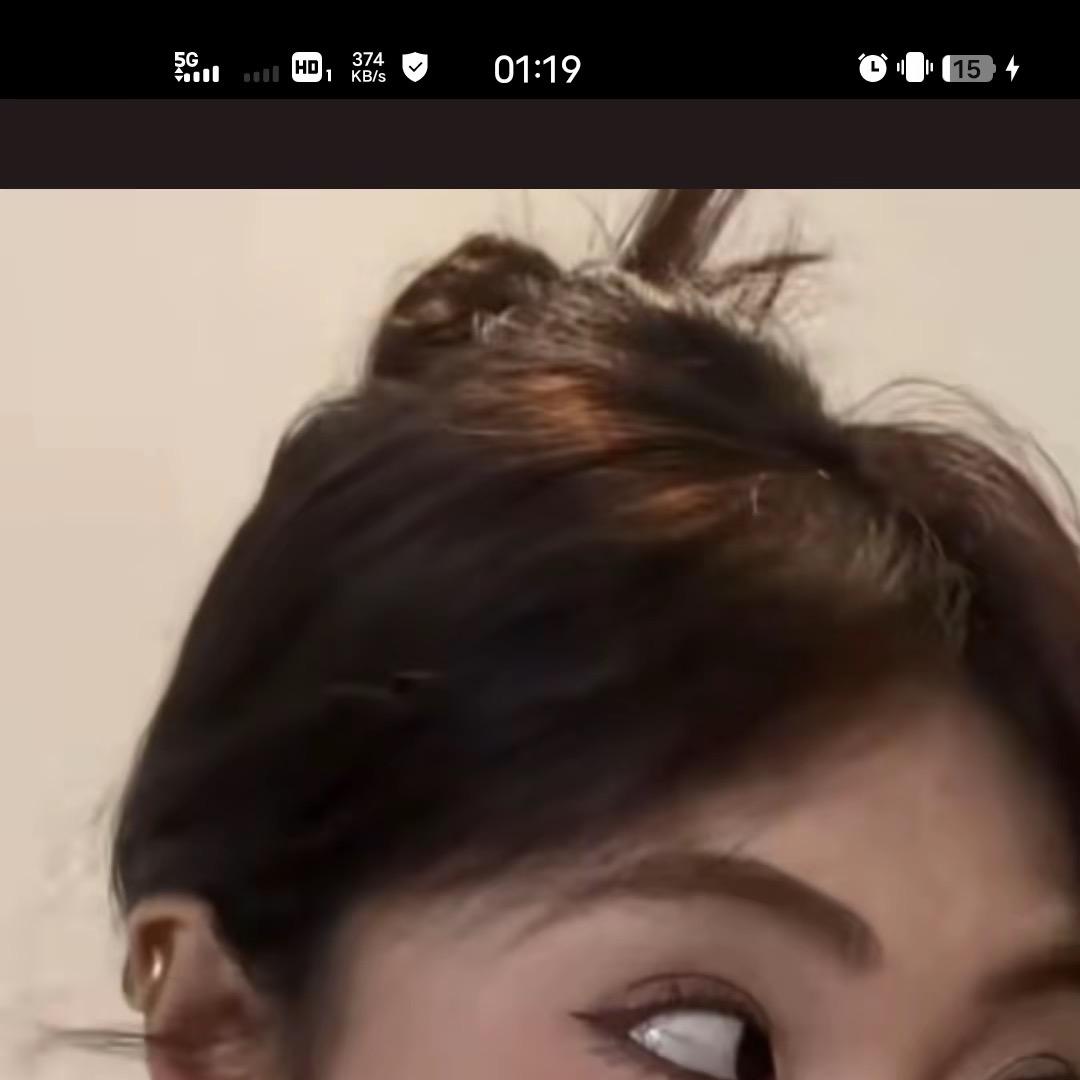 三叶彩家居绿植
