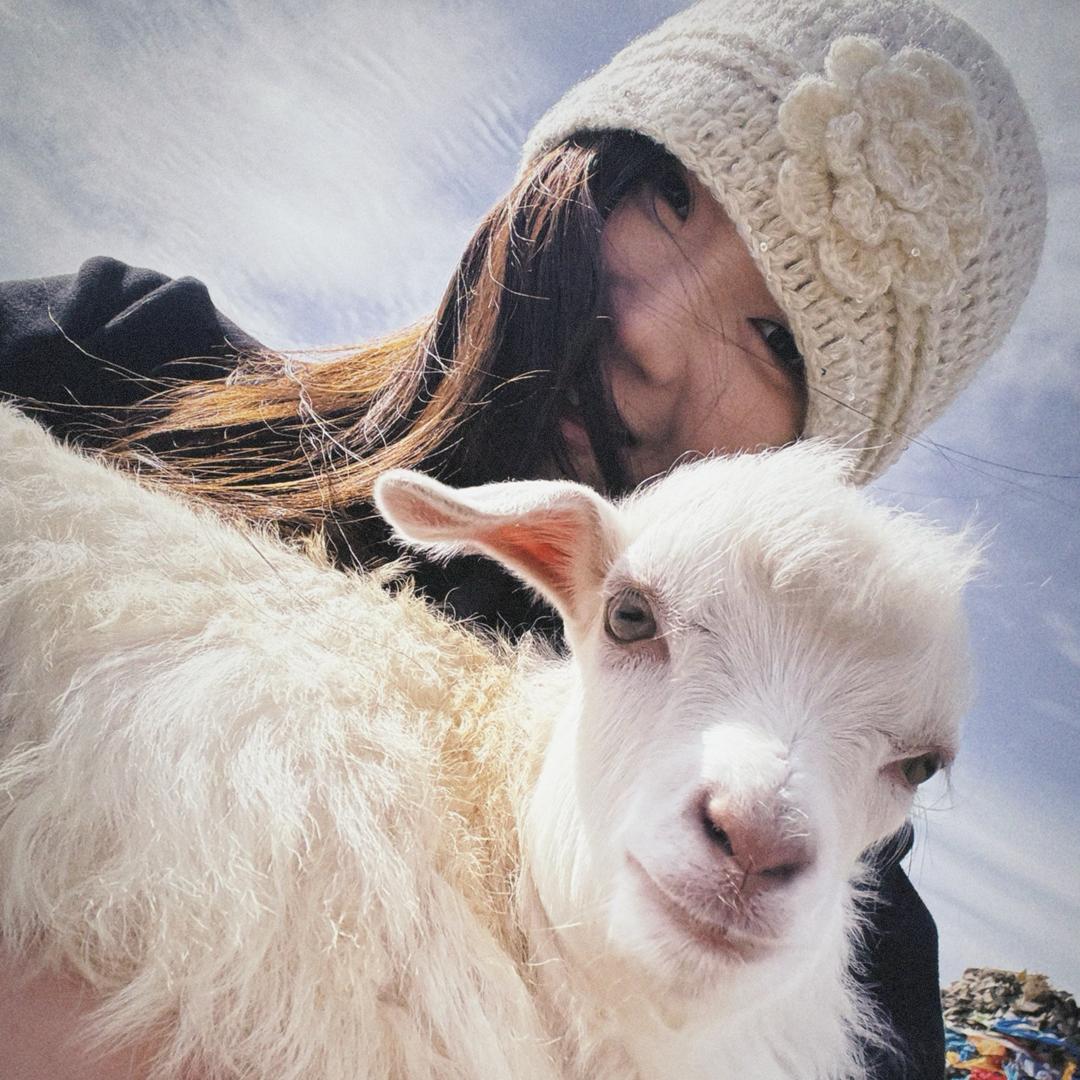 如果你也爱听JJ