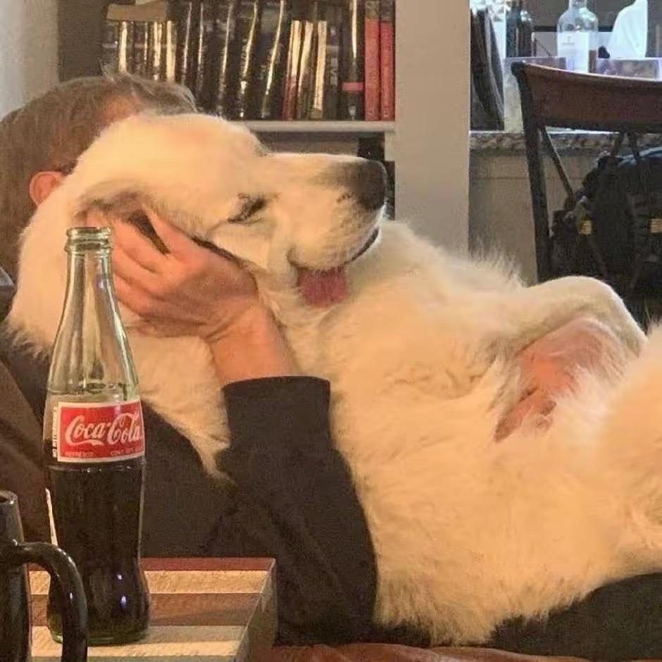 羡慕老蒯每一天