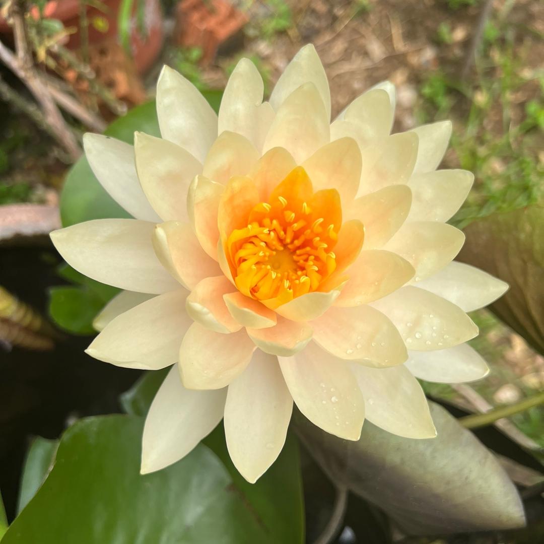 往后余生🍀