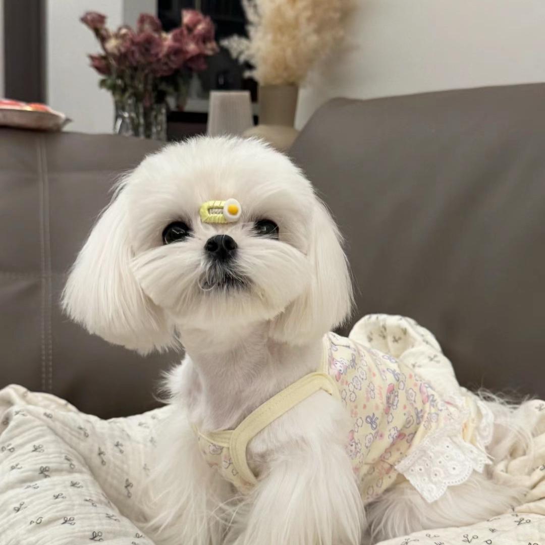 梦你