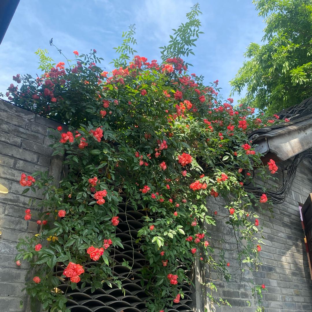 💕ꦿ҉好ᨶ႒ᩚ运ᥫᩣ໌້ᮨ加满✨