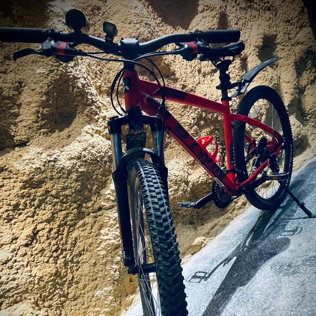 『雙木林先生』