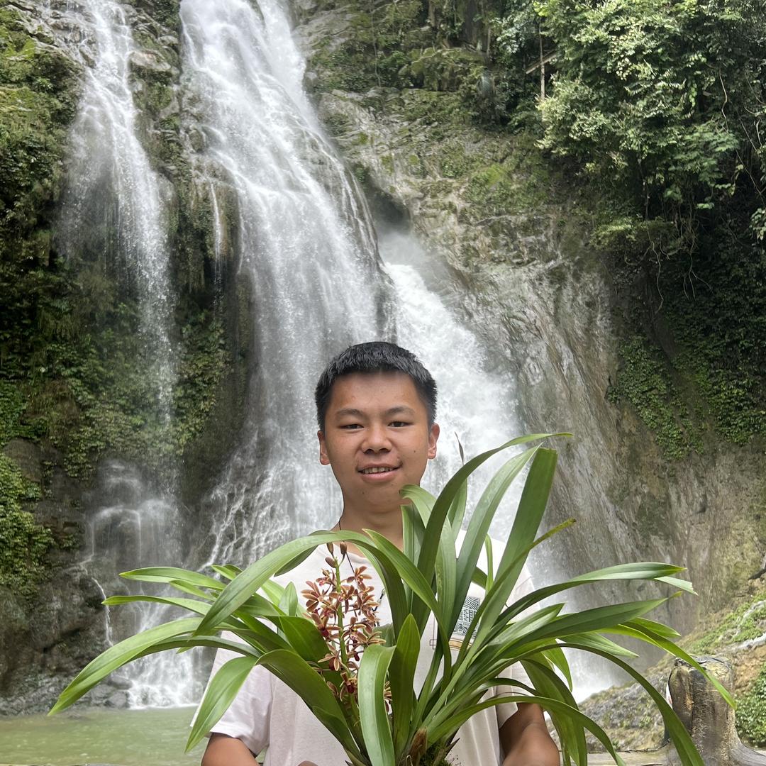 马关鑫茗种植优品小铺