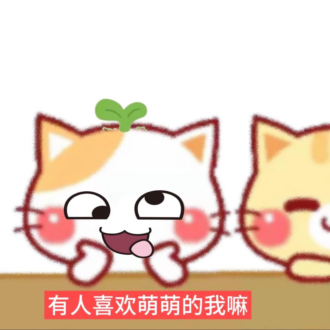 烤鱼33