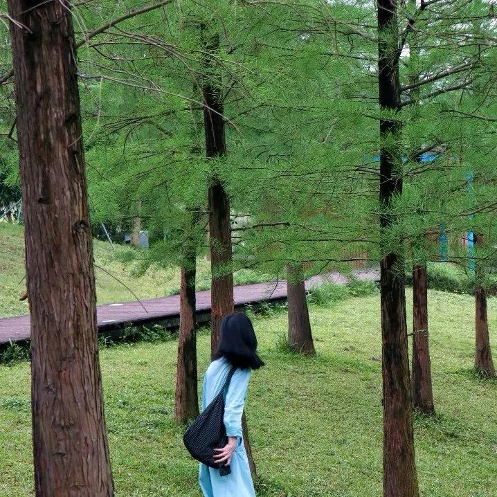 咕噜小小怪.