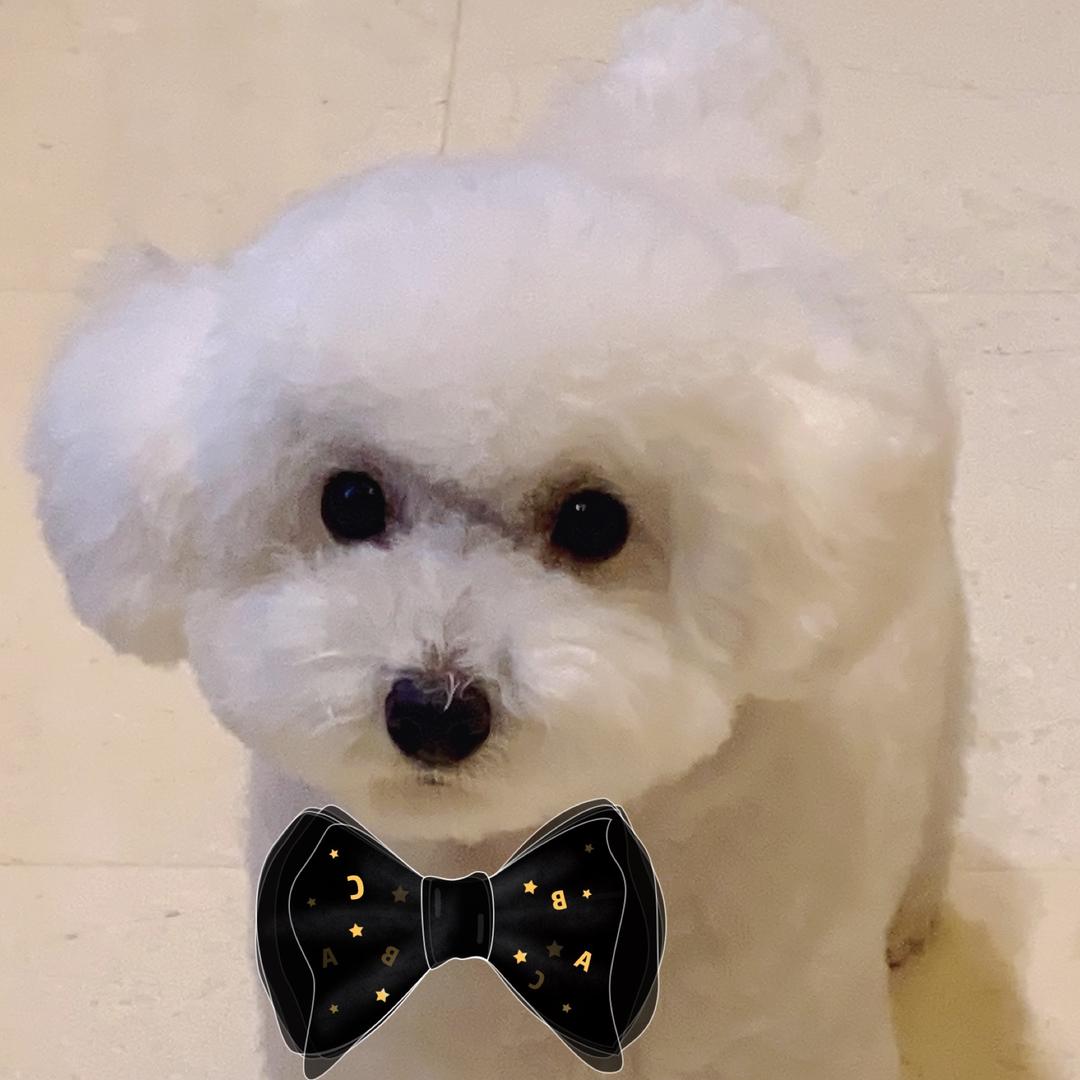 ☀️金色阳光☀️