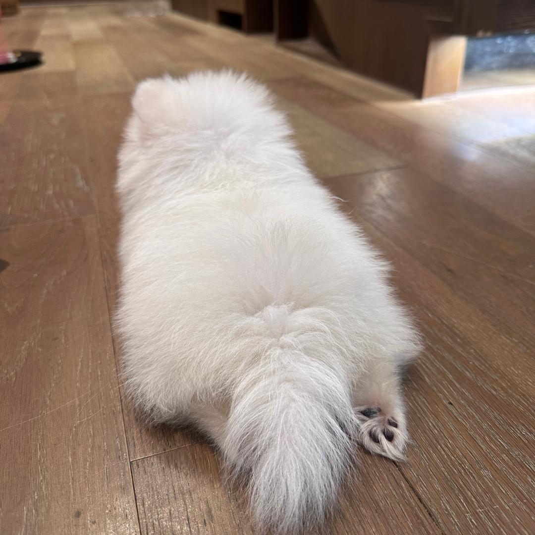 海口龙华区茗祥翔文化传媒工作室