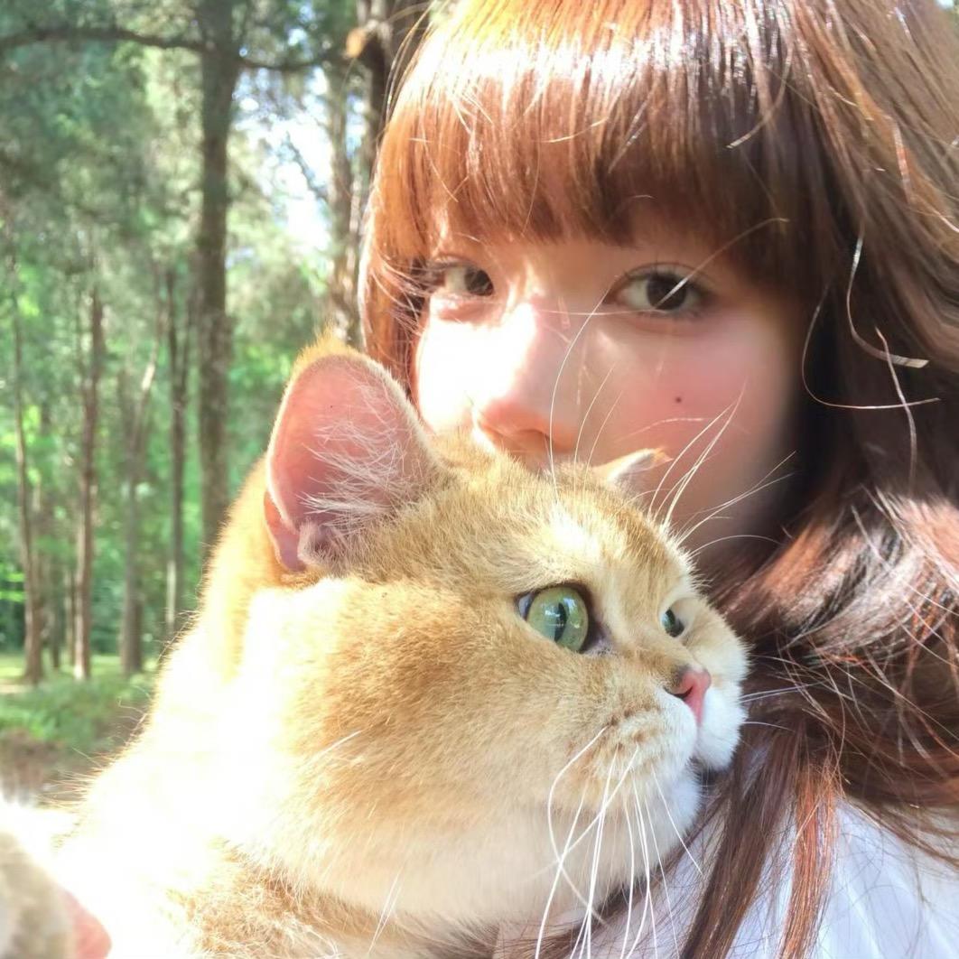 小甜甜的白日梦