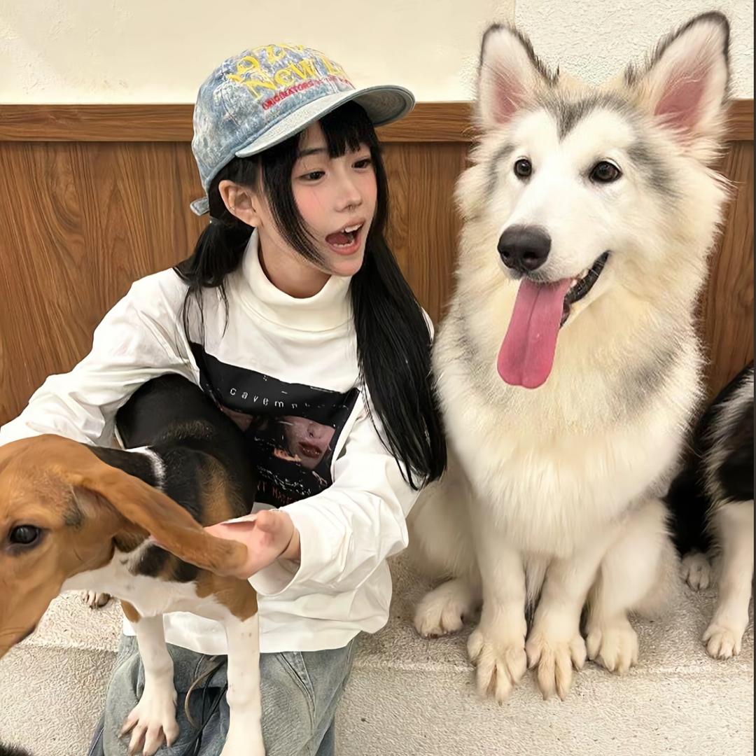 磊
