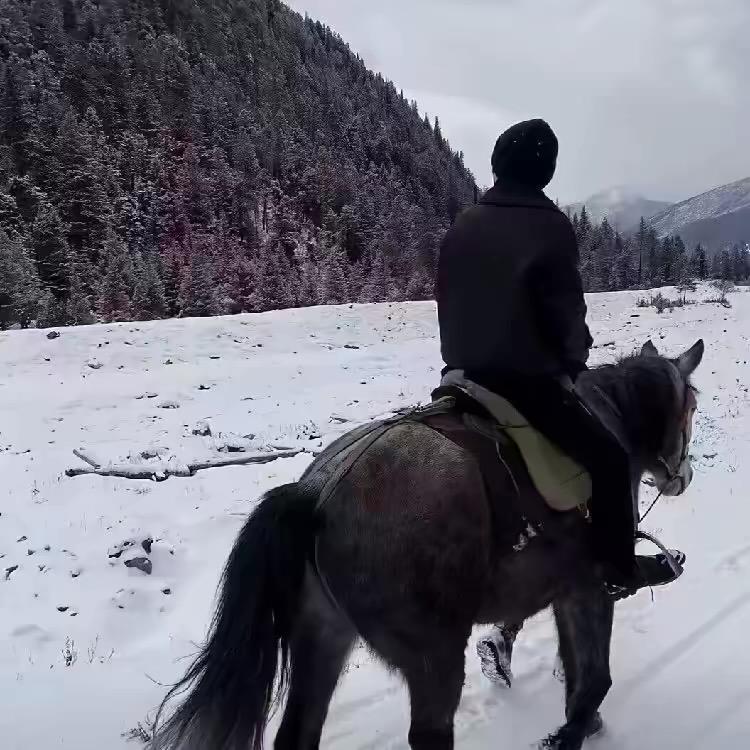 G.