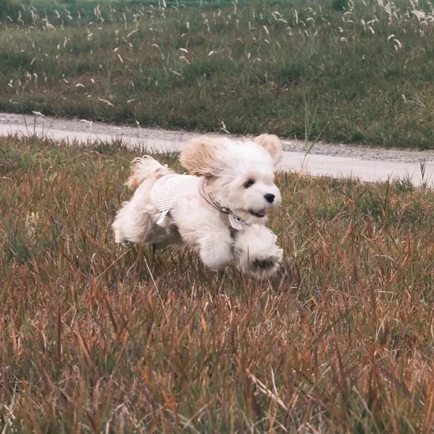 粥壹