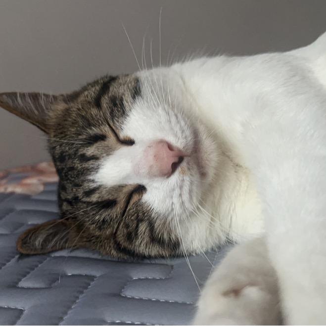 我是三角洲大王