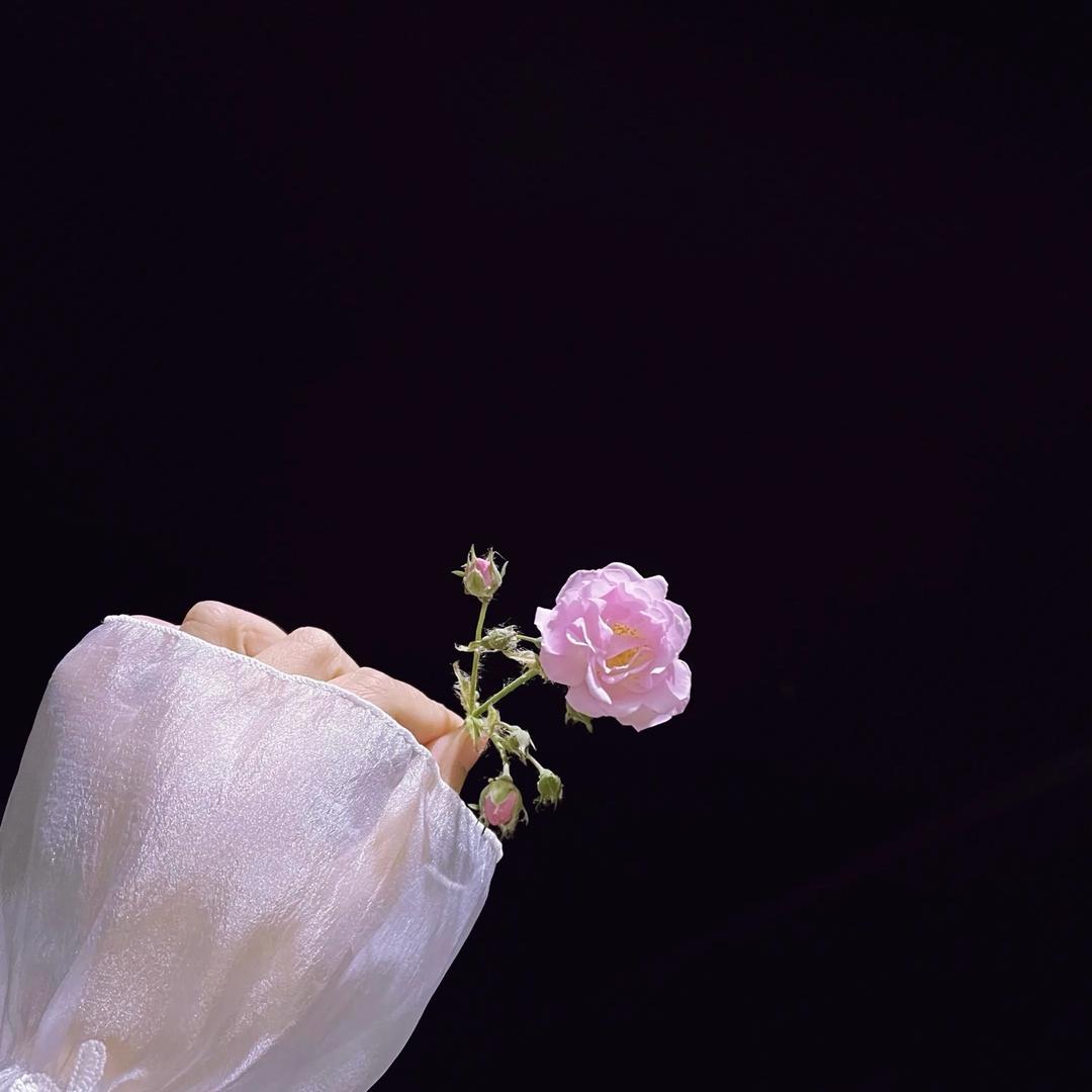 泡芙✨