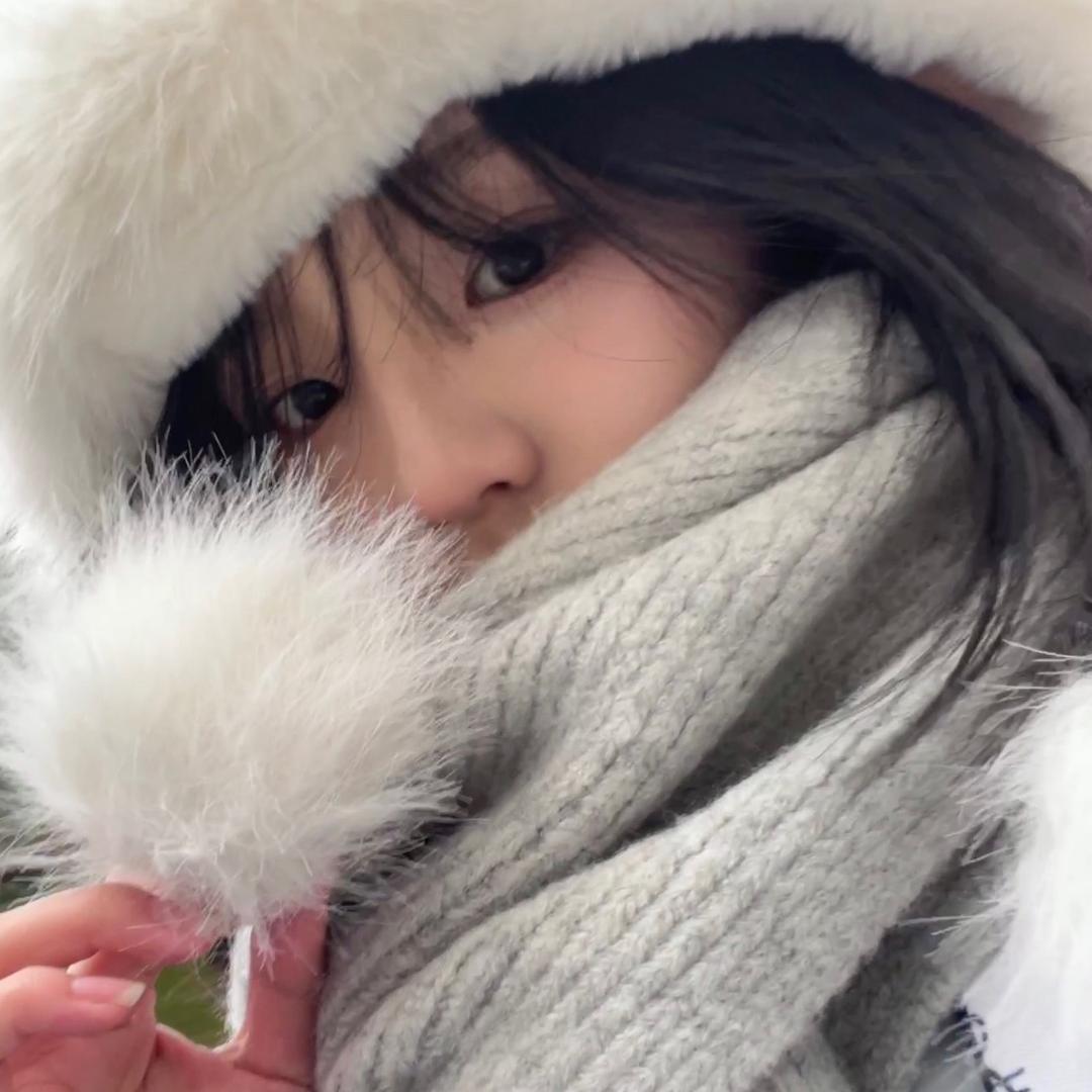 雪柚梨