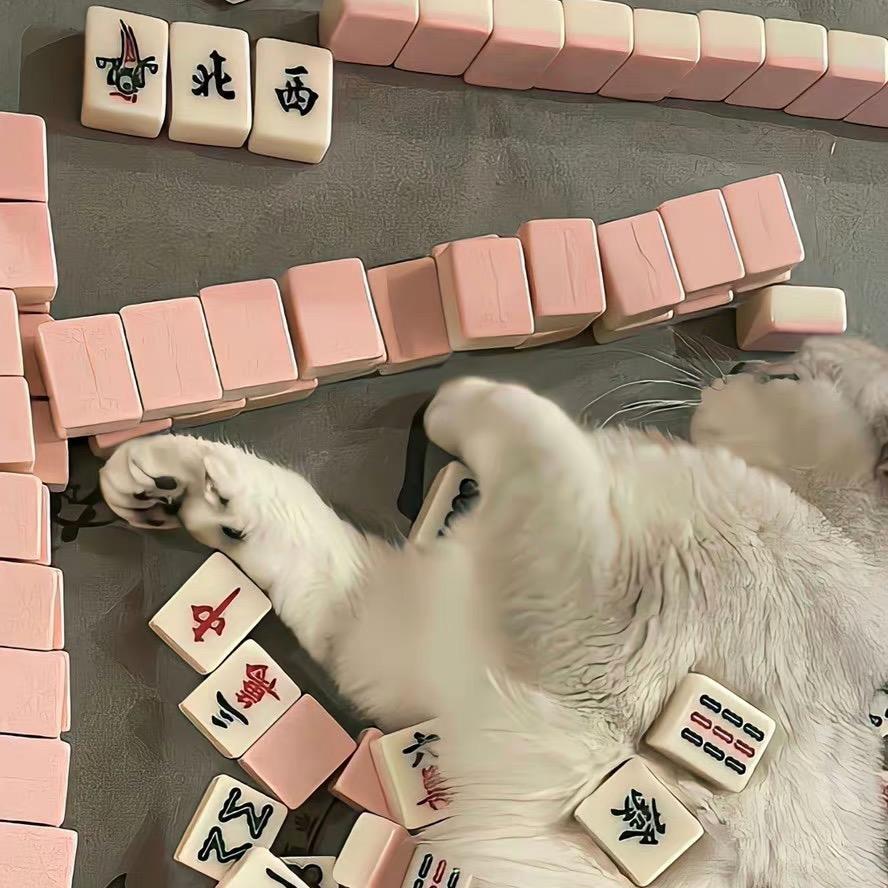 才没有脸红