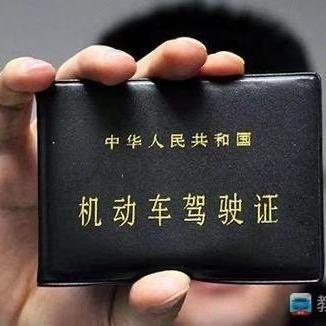 领航驾培创始股东小张