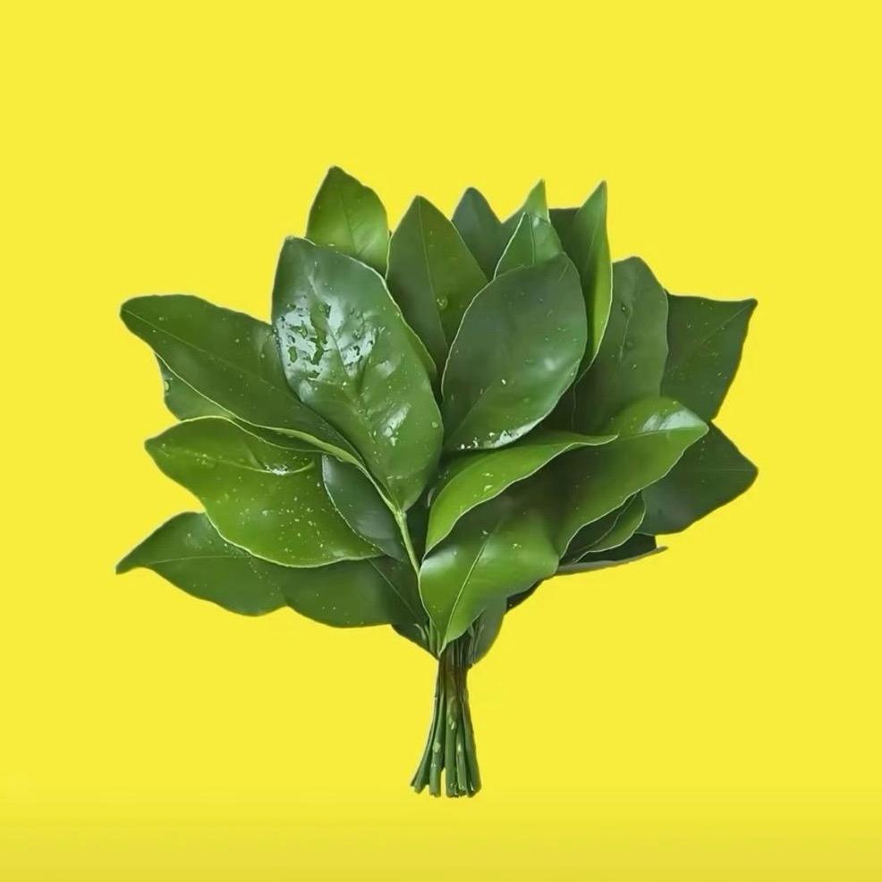 是田不是甜