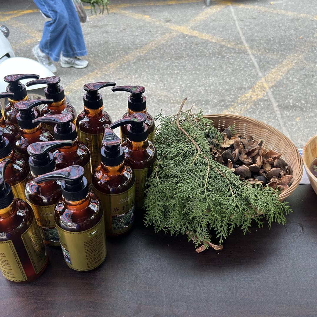 碧翠堂养发 春风十里