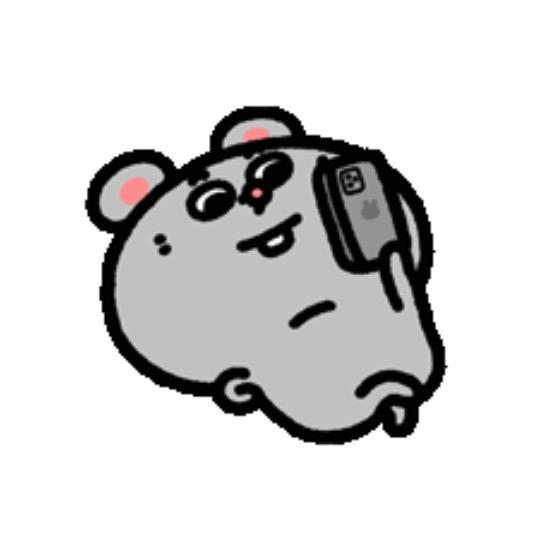 小黑🐾