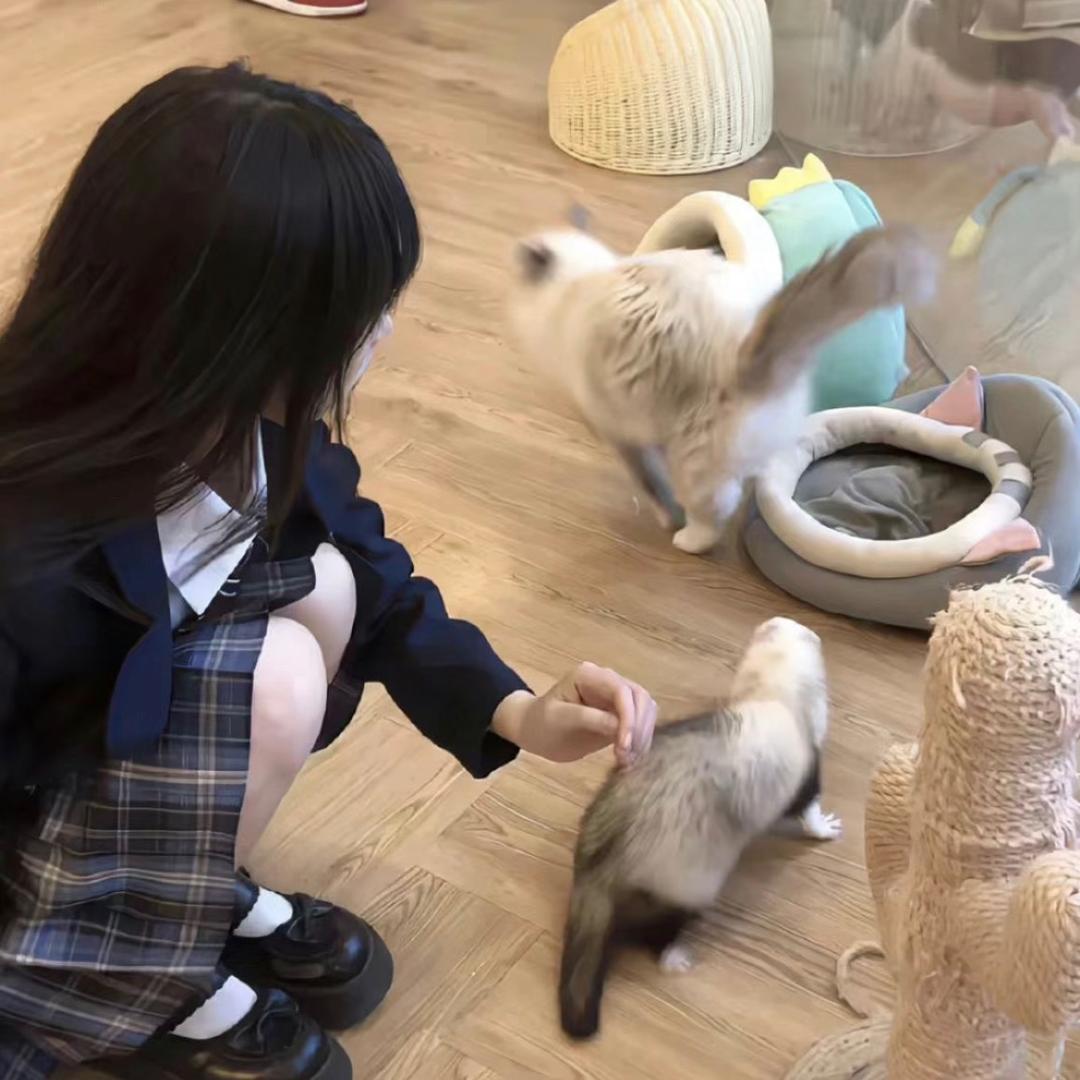 捣蛋小鱼.