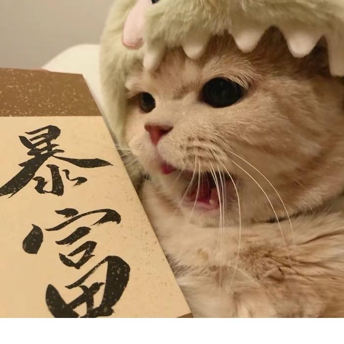 汤汤.