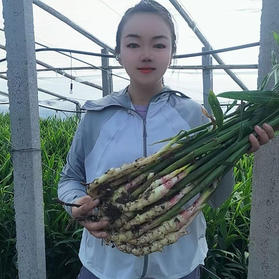 云耕纪数字农场