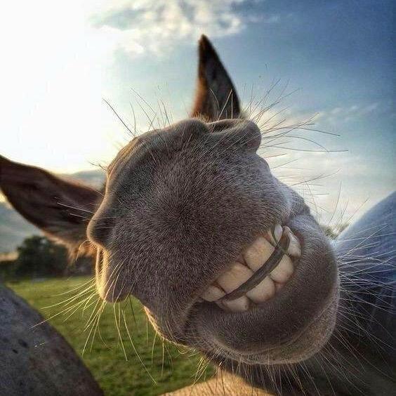 极速盛意电脑维修