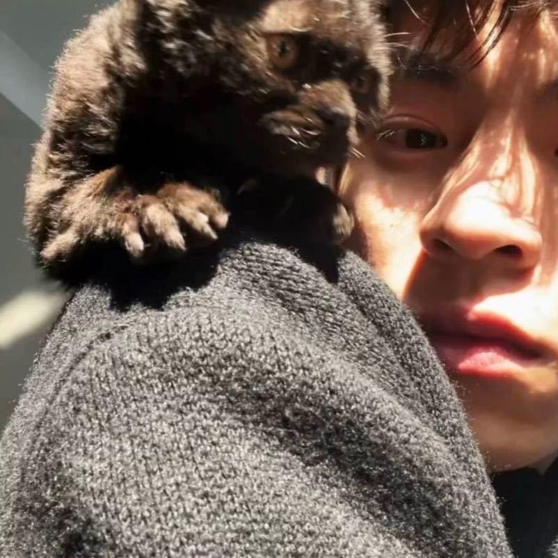 七棵海草～小xin