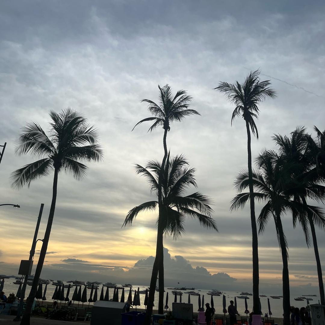 海外小牛
