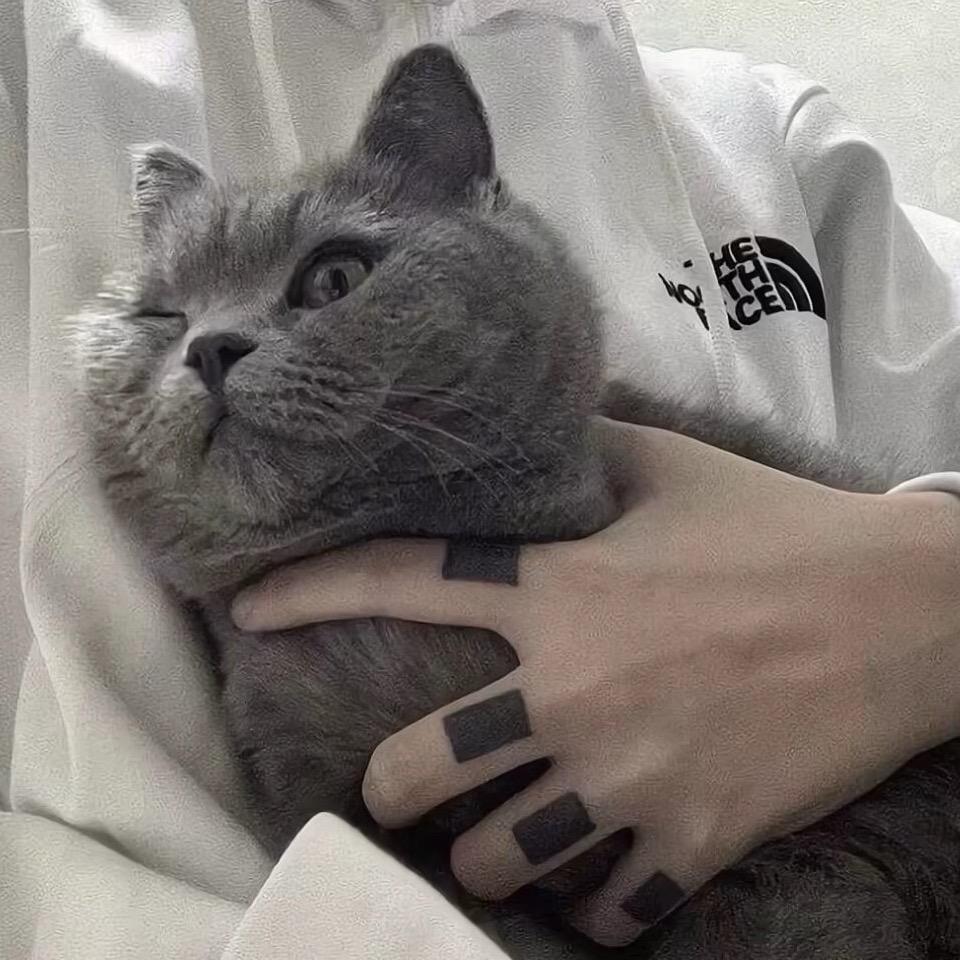 林l-