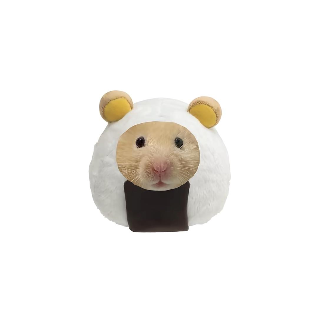 愿.