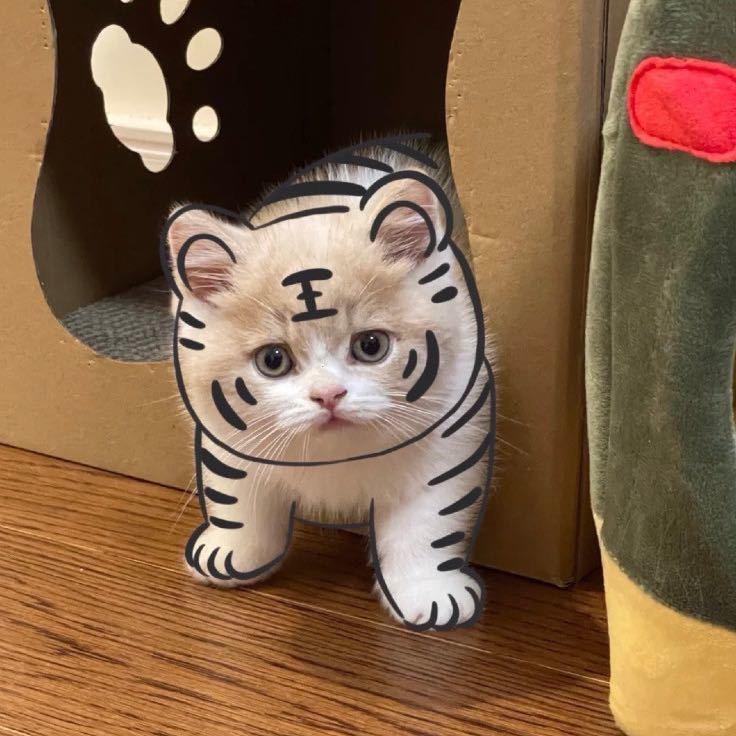 se.萢萢o00
