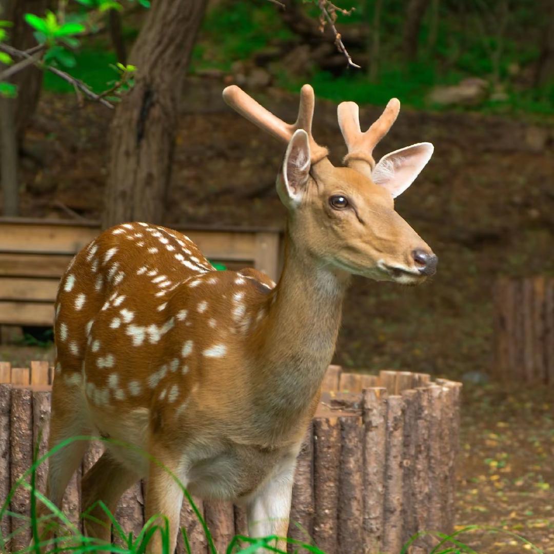 驍🦌爣曉蘯
